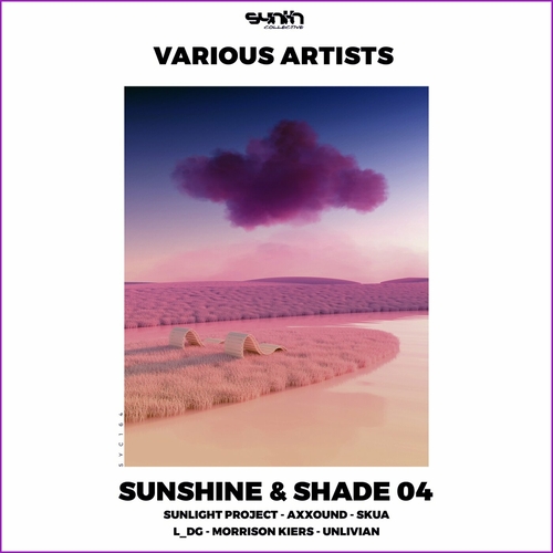 VA - Sunshine & Shade 04 [SYC164]